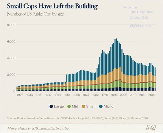 The decline in the number of public companies has been driven by the disappearance of small companies.