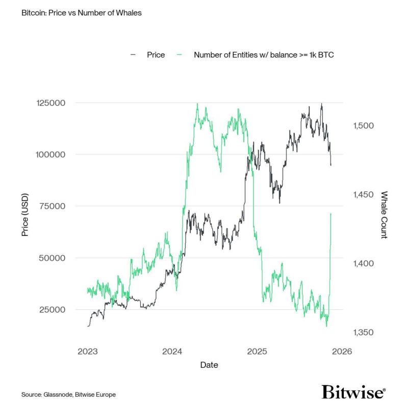 A great chart by Bitwise - 𝐓𝐡𝐢𝐬 𝐢𝐬 𝐰𝐡𝐨 𝐲𝐨𝐮’𝐫𝐞 𝐬𝐞𝐥𝐥𝐢𝐧𝐠 𝐲𝐨𝐮𝐫 𝐁𝐢𝐭𝐜𝐨𝐢𝐧 𝐭𝐨