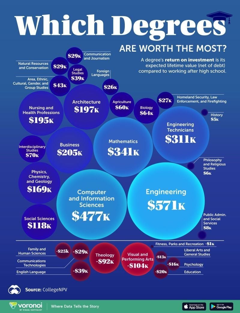 🎓 Which degrees are worth the most?