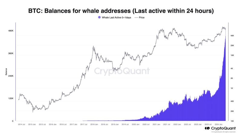 Bitcoin whales have been buying like never before
