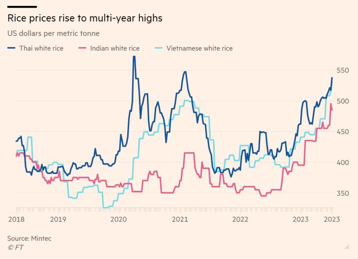 Rice prices have surged to multi-year highs. And with global rice inventories projected to fall to 6-year lows in the next 6 months, prices could go even higher