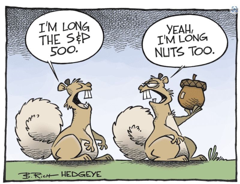 Hedgeye about investors going nuts (do they?)