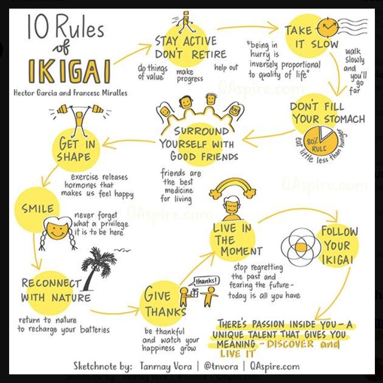 The 10 rules of Ikigai