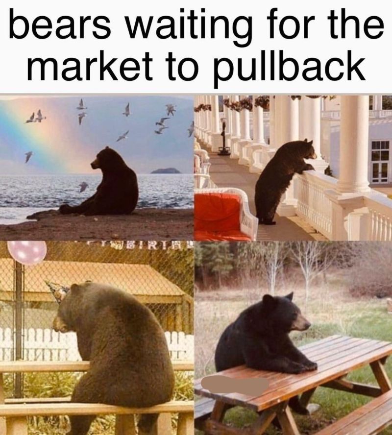 November has been a very long month of frustration for the bears