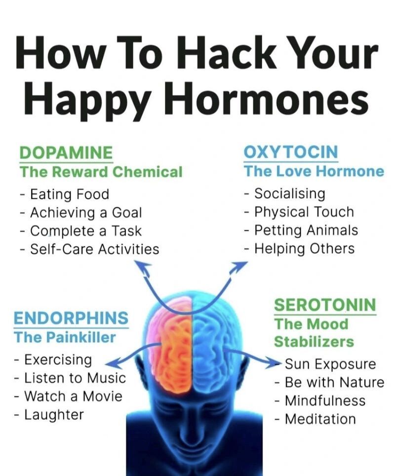 ✨🎉Serotonin, Dopamine, Endorphins, and Oxytocin: The Neurotransmitters of Well-being