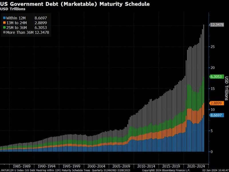 The government debt maturity wall