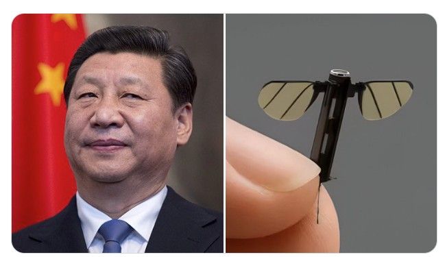 JUST IN: China unveils 0.6 cm mosquito-like spy drone designed for stealth missions.