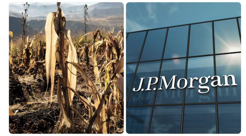 A massive global food supply crisis could start next year because of fertilizer shortages, per JPMorgan.