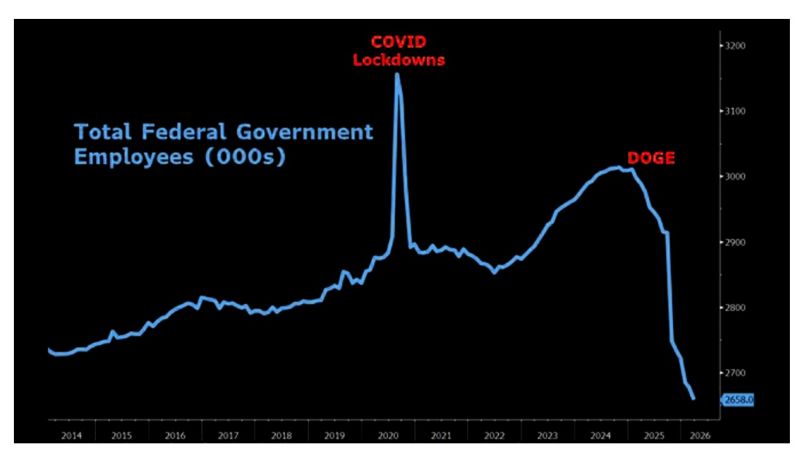 DOGE was more effective than many recognize in reducing the size of the government.