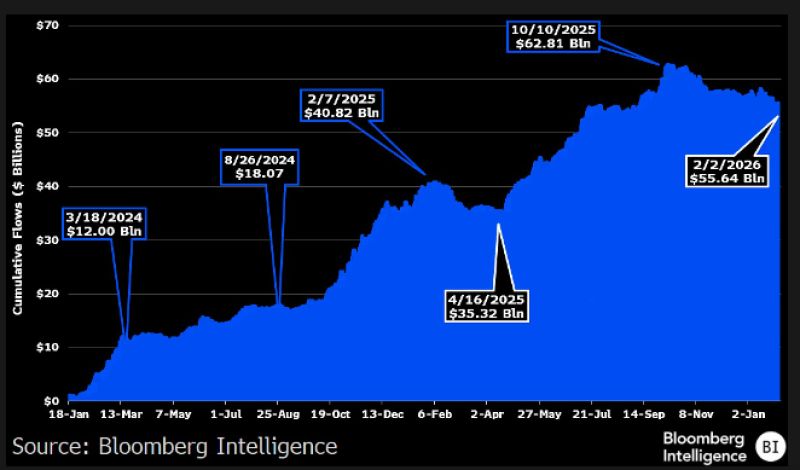Bitcoin ETF's cumulative net inflows peaked at +$63B in October. Today (after the 