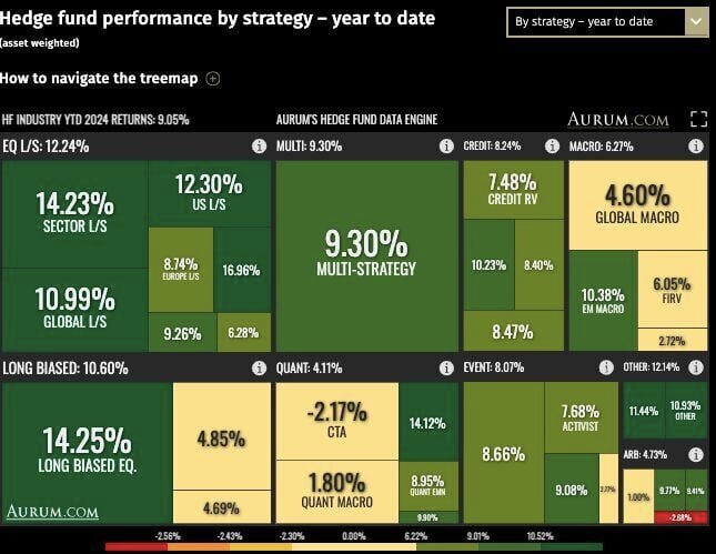 Hedge fund indices YTD performance by strategy as of 31/10/2024.