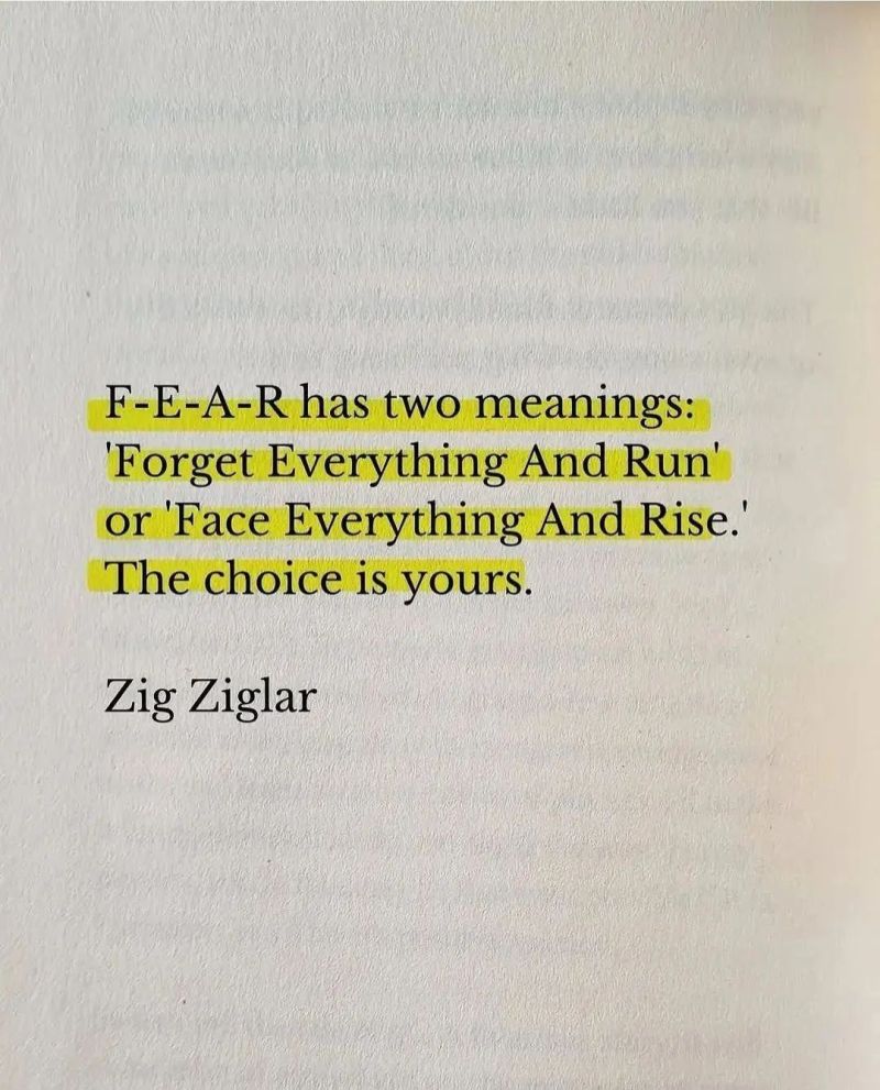 F-E-A-R has 2 meanings