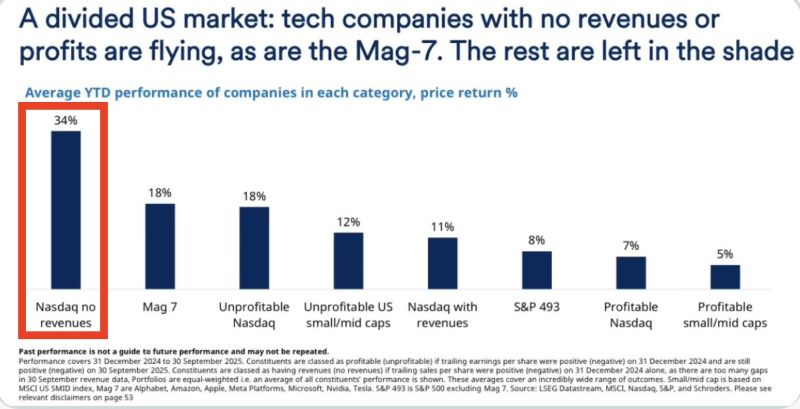Zero-revenue stocks are up 34% this year, outpacing the Mag 7.