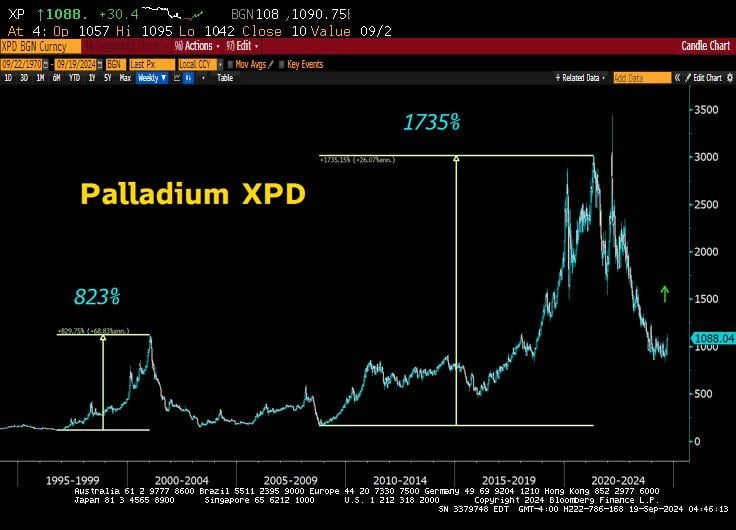 A reminder by Lawrence McDonald that palladium bull markets can be quite brutal.