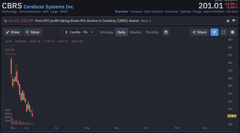 Any retail investor who bought Cerebras after the IPO got decimated.