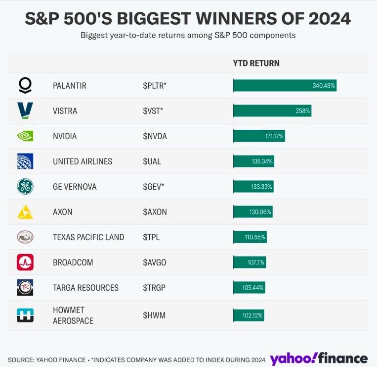 S&P500's Biggest Winners of 2024