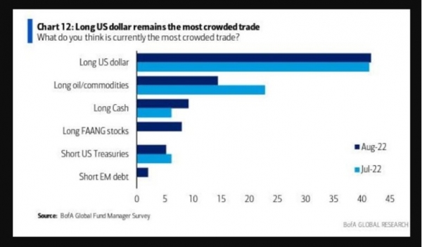 Long US dollar remains the most crowded trade
