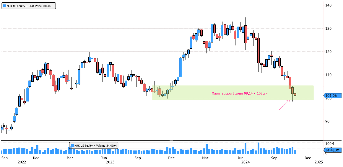 Merck on Major Support Zone