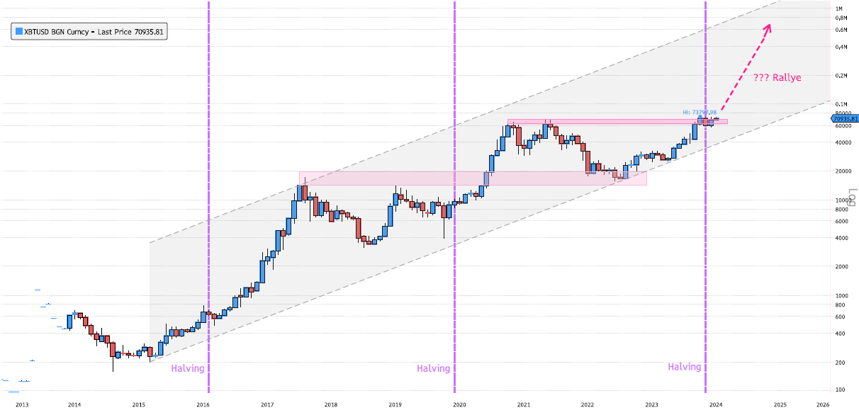 Bitcoin Logarithmic Monthly Chart
