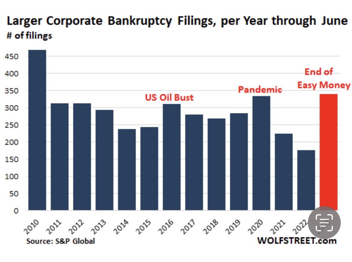 Larger Corporate Bankruptcy Filings, per Year through June